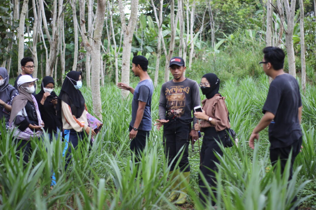 magang merdeka waluran