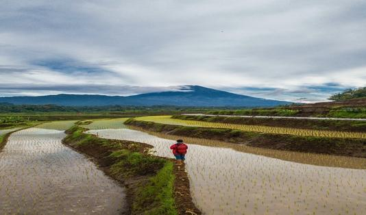 Jadi Ibu Kota Baru, Ini 5 Kelebihan Kalimantan Timur 5 Picture6 1