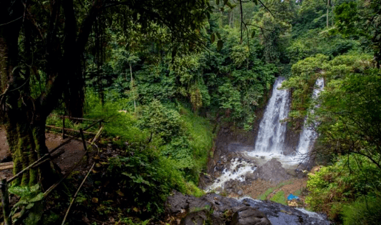 cinulang