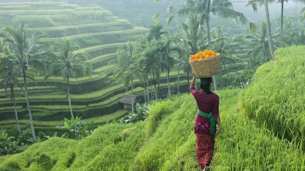 Turis Asing ke Bali Harus Warm Up Vacation? back to bali