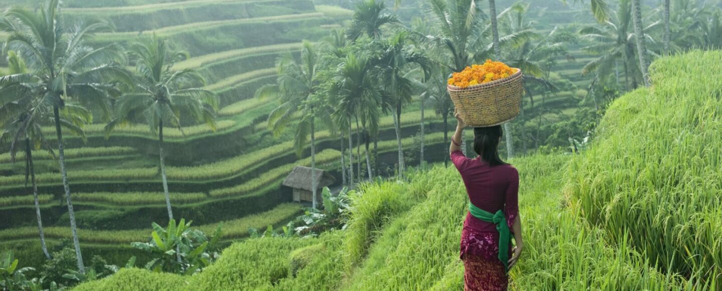 back to bali