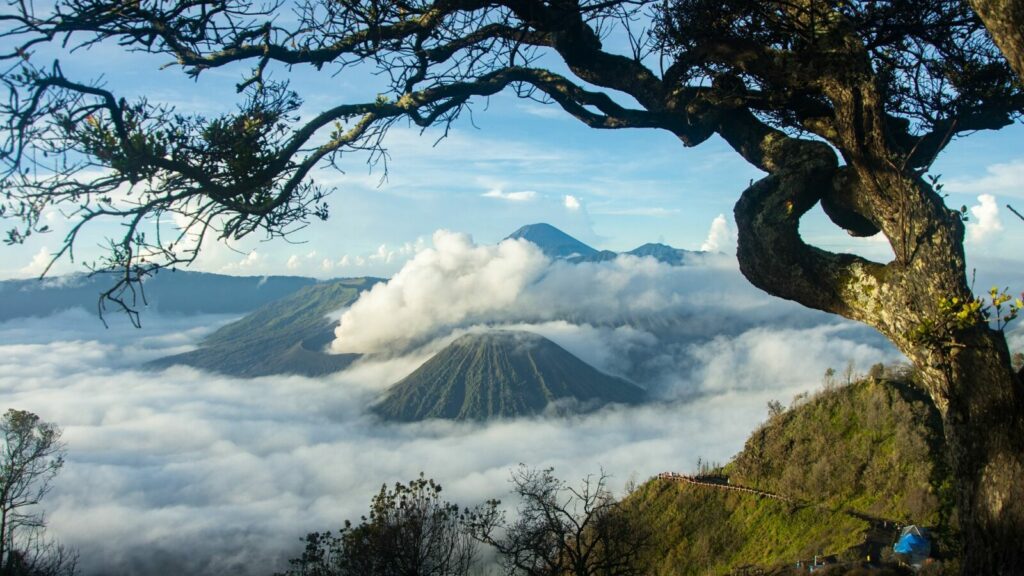 Lautan Pasir Bromo Mulai Bebas Kendaraan Februari 2022?