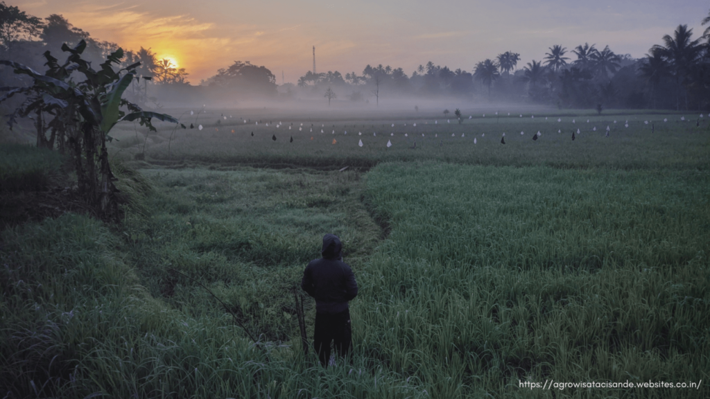 Inilah Alasan Desa Wisata Cisande Mendapatkan Anugerah Desa Wisata Indonesia Tahun 2021