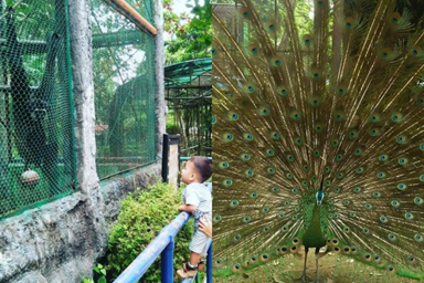 wisata, sawahlunto, sumatera barat, museum, kereta api, puncak cemara, wahana permainan, air terjun, bikan, geoside, geopark nasional, trekking, taman satwa kandi, flora fauna, permainan air, flying fox, paintball, akhir pekan, lubang tambang mbah soero, kawanjo, terowongan, 
