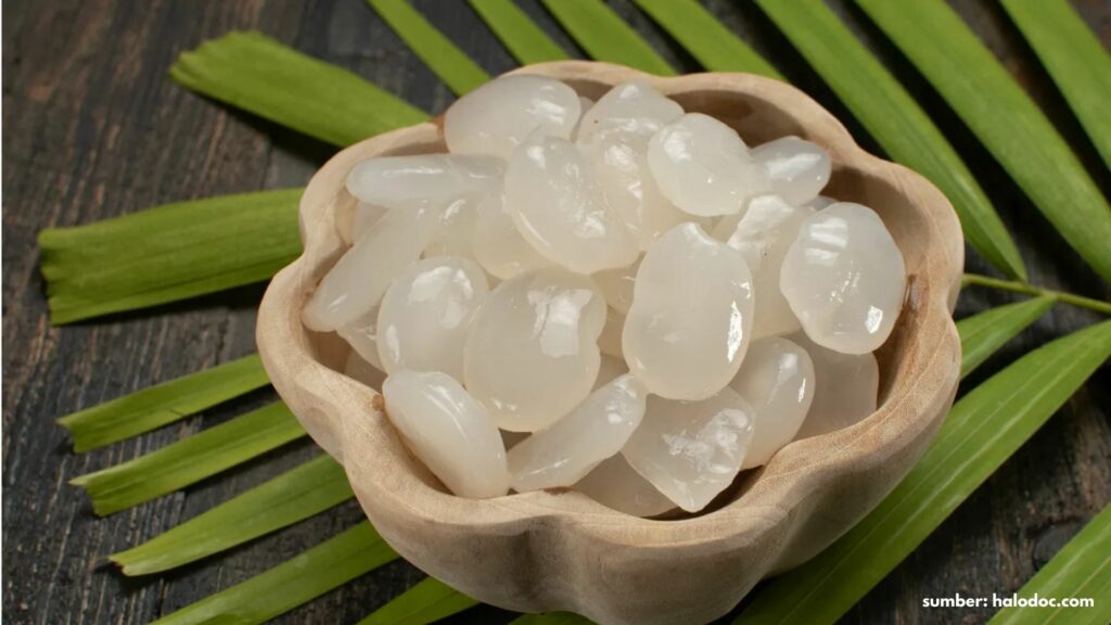 Fakta Unik Pohon Kawung Penghasil Kolang-kaling