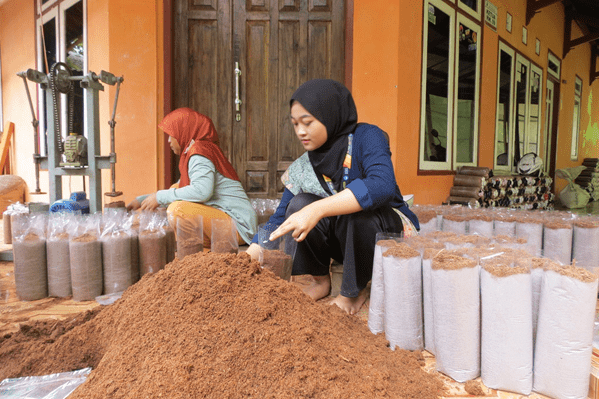 Intip Keseruan Vanguard Desa Wisata Budidaya Jamur Tiram di Kampung Lahang 1 vanguard, budidaya jamur tiram, vanguard, desa gede pangrango, homogenisasi, baglog, sterilisasi, inokulasi, inkubasi, panen jamur, paket wisata,