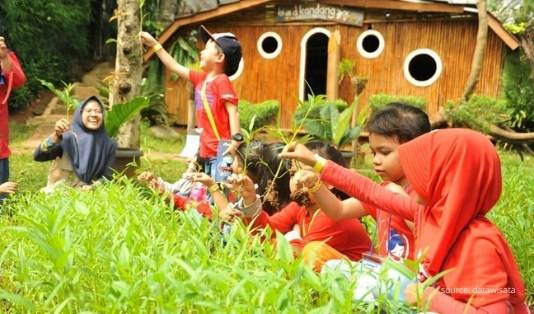 dkandang farm