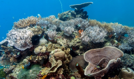 Traveler Wajib Tahu, Wisata di Manado Ini Punya Pesona yang Menakjubkan