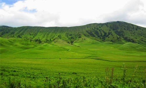 Anti Telat Nikmati Sunrise, Simak Rekomendasi Tempat Camping di Bromo yang Menarik 5 padangsavanabukitteletubies sumber foto google maps
