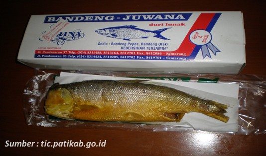 rekomendasi makanan khas jawa tengah bandeng juwana