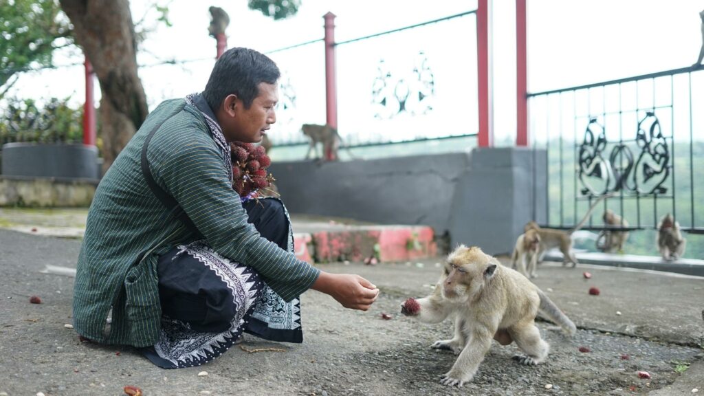 tradisi di desa wisata kandri
