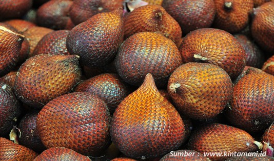 Oleh Oleh Khas Bali Salak Bali