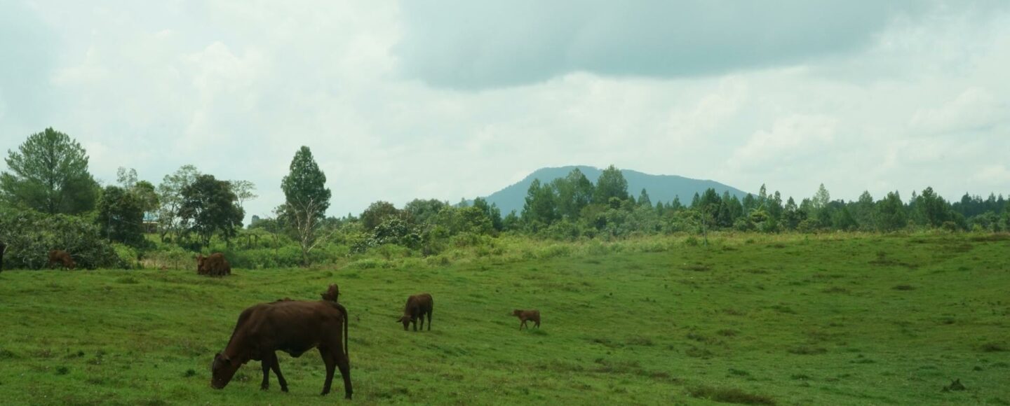 Pasti, Destinasi Wisata Tapanuli Ini Serunya Asli! wisata tapanuli, tapanuli