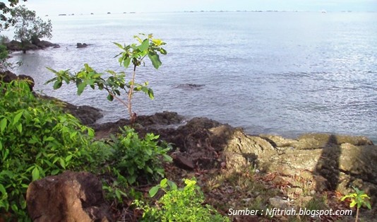 Wisata di Kotabaru Pantai Tanjung Ketapang 1