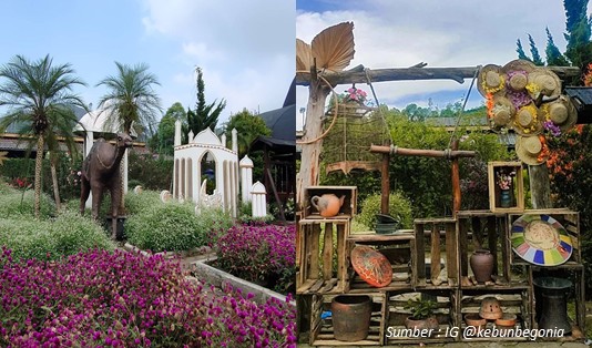 Wisata di Lembang yang lagi hits Kebun Begonia Lembang