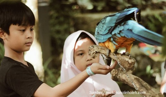 Wisata Futuristik di Lembang, Bandung Pakai Fitur Google Street View Wisata di Lembang yang lagi hits dan viral