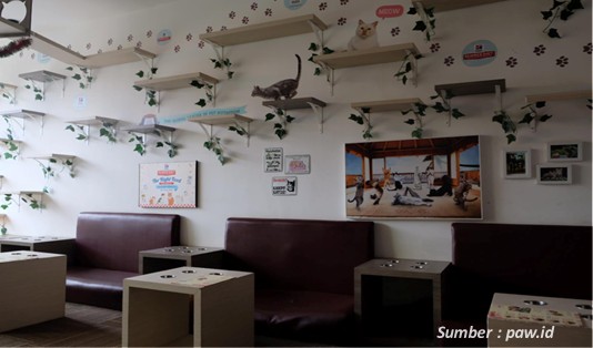 cafe Instagramable Jakarta Cutie Cats cafe