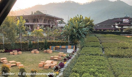 cafe batu hits Pupuk Bawang Cafe