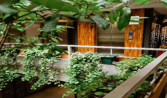 rekomendasi staycation di kota bandung kollektiv hotel sumber foto instagram @kollektivhotel