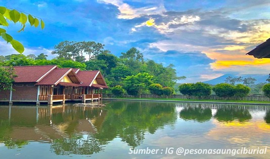 Jadi Unggulan, Ini 5 Tempat Wisata di Kota Sumedang 5 rekomendasi wisata di sumedang Wana Wisata Ciburial
