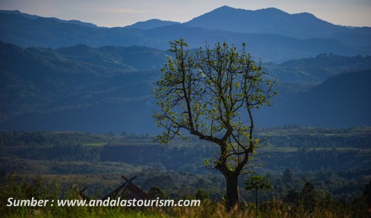 Pasti, Destinasi Wisata Tapanuli Ini Serunya Asli! 6 wisata Tapanuli Selatan Gunung Sibual buali