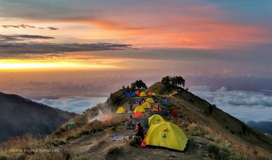 Body Image pigiblog 8