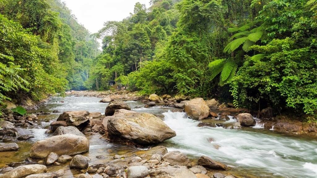 Bukit lawang