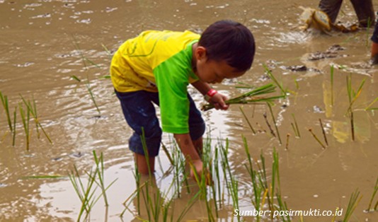 Pasti Puas, Ternyata ini Aktivitas di Kebun Wisata Pasirmukti Citeureup Bogor 2 Daya Tarik Wisata Kebun Pasirmukti Citeureup Bogor