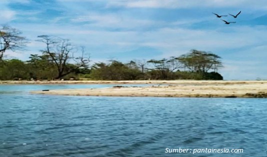 Mendulang Vitamin Sea Pantai Cijeruk Indah Garut yang Tenang 2 Menilik satu pantai di Garut yang belum terlalu ramai.