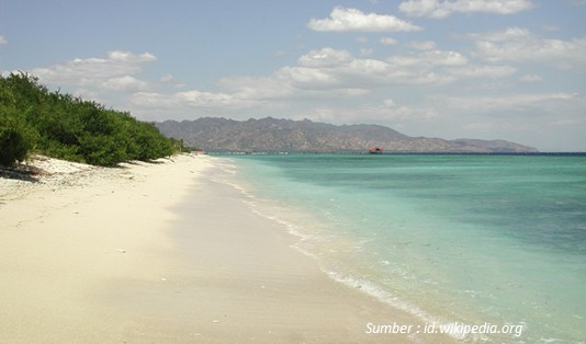 Menepi dari Riuh Kehidupan, Wisata di Pulau Gili Meno Saja! 1 Wisata ke Lombok Gili Meno