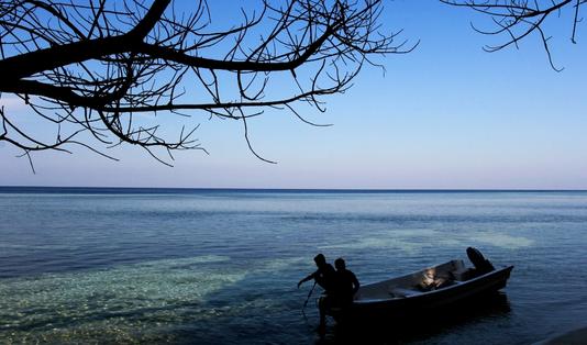 paket diving wakatobi 5
