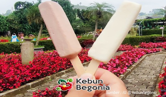 taman bunga begonia lembang bandung
