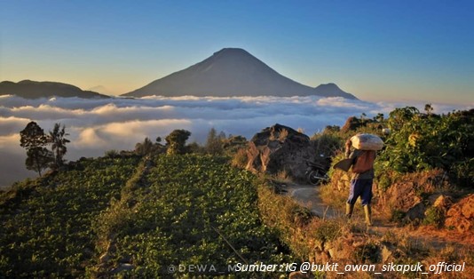 Paket Lengkap Mengunjungi Desa Wisata Parikesit Wonosobo 2 Aktivitas Pertanian di Desa Wisata Parikesit Wonosobo