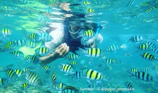 Aktivitas Wisata di Pulau Pramuka 