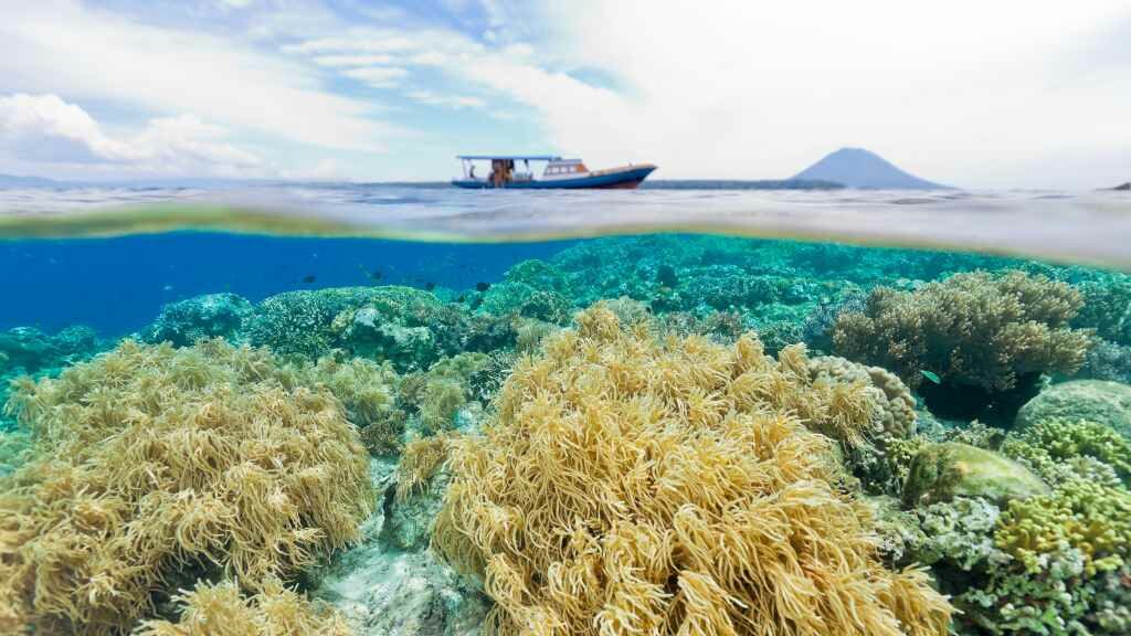 Dapatkan Momen Keren Lewat Paket Wisata Bunaken bunaken,
