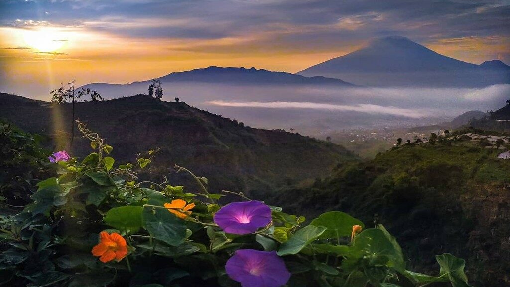 Paket Lengkap Mengunjungi Desa Wisata Parikesit Wonosobo Desa Wisata Parikesit Wonosobo