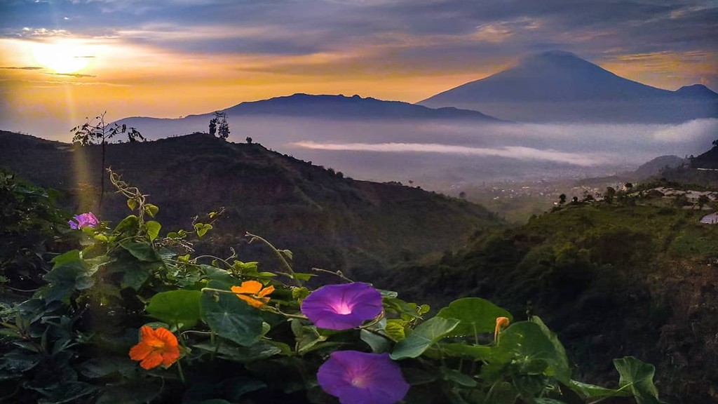 Paket Lengkap Mengunjungi Desa Wisata Parikesit Wonosobo Desa Wisata Parikesit Wonosobo