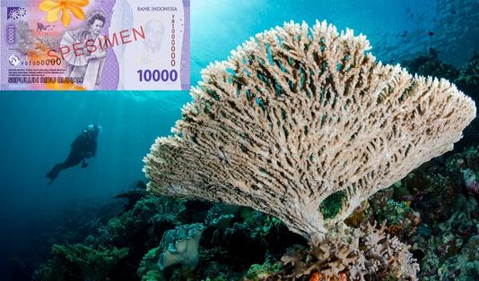 destinasi wisata uang kertas baru 4