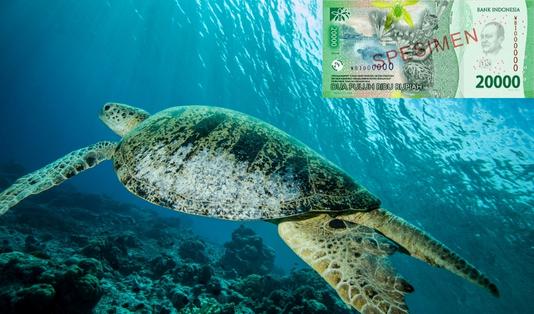 destinasi wisata uang kertas baru 5