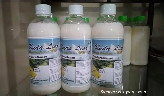 kuliner khas lombok Susu Kuda Liar