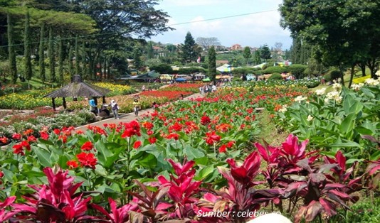 Wisata Taman Bunga di Tomohon