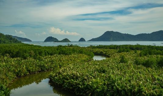 mandeh 1
