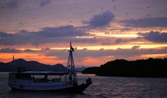 Paket Murah Meriah Labuan Bajo 5, Cheap Trip to Labuan Bajo