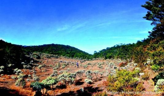 Open Trip Gunung Gede via Gunung Putri Jadi Solusi Buat yang Rindu Mendaki 4 Open Trip Gunung Gede via Gunung Putri, gunung gede, gunung gede via putri,lembah mandalawangi