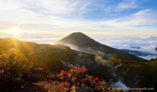 Open Trip Gunung Gede via Gunung Putri Jadi Solusi Buat yang Rindu Mendaki 1 Open Trip Gunung Gede via Gunung Putri, gunung gede, gunung gede via putri,lembah mandalawangi