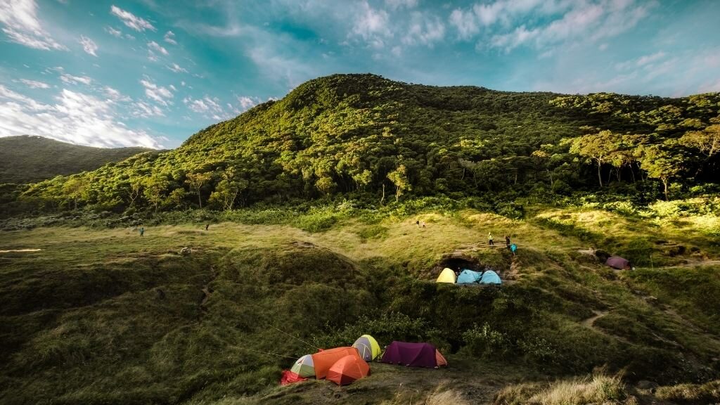 Open Trip Gunung Gede via Gunung Putri Jadi Solusi Buat yang Rindu Mendaki