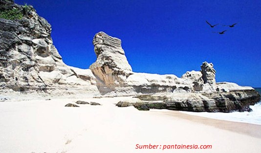 Wisata Pantai Klayar Pacitan Tempat Menyimpan Seribu Kenangan 3 rekomendasi Tempat wisata di Pacitan Karang