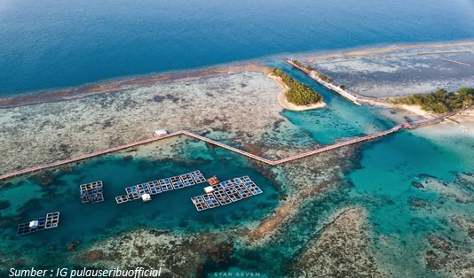 6 Alasan Wisata di Pulau Payung Kepulauan Seribu 1 Pulau Payung Kepulauan Seribu