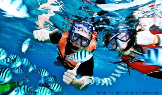 5 Spot Wisata Pulau Pramuka, yang Kamu Pasti Suka! 5 Wisata Pulau Pramuka, Snorkeling, Kepulauan Seribu, Pulau Pramuka, Pantai Pasir Putih, Hutan Mangrove
