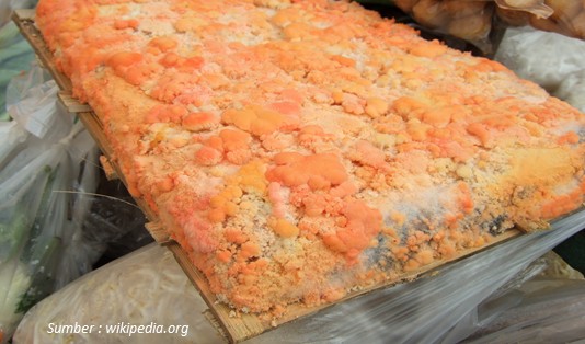 7 Makanan Fermentasi Tradisional Khas Indonesia Sudah Lezat, Sehat lagi 8 Makanan Fermentasi Tradisional Khas Indonesia